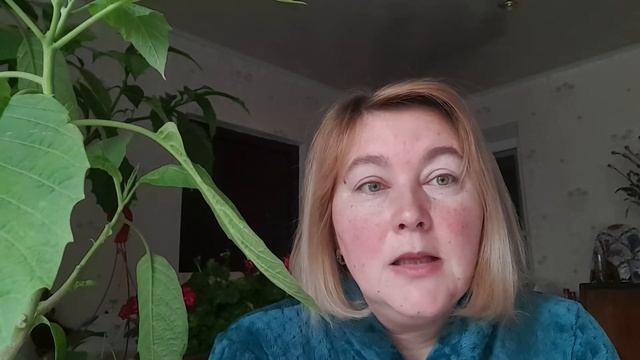 КИЕВ/ КРУГОМ ВСЕ БОЛЕЮТ смотреть онлайн