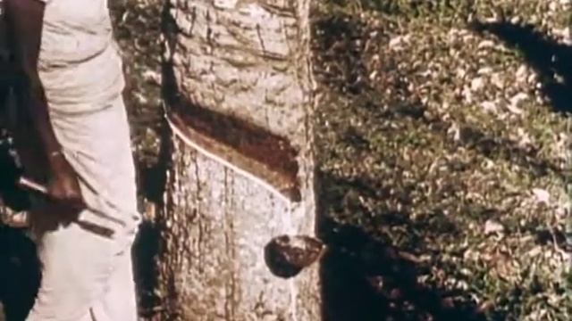 Seeing Ceylon - 1952 смотреть онлайн