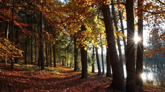 Музыка и природа славит Творца сборник 4. смотреть онлайн