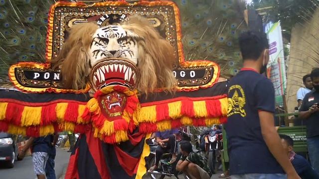 keluarga TSWN Galang dana di balai desa talok turen buat korban gempa смотреть онлайн