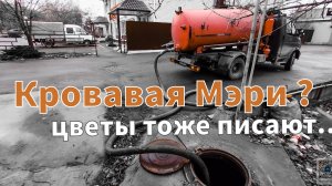 Кровавая Мэри? Цветы тоже писают🤢💩