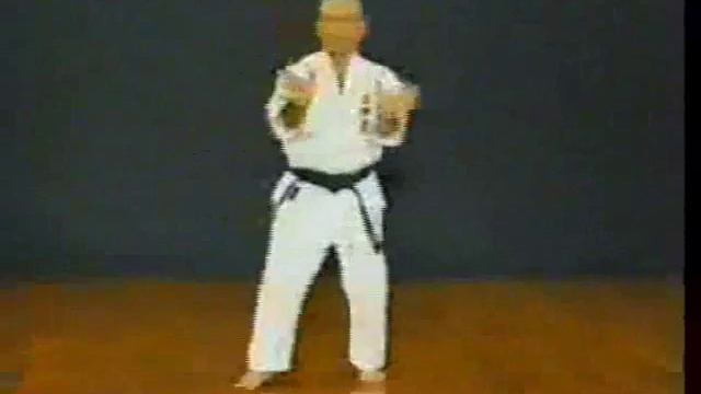 11 -RYU TORA TSURU movements- Uechi-ryu KENSEIKAI Senaga Yoshidzune.wmv смотреть онлайн