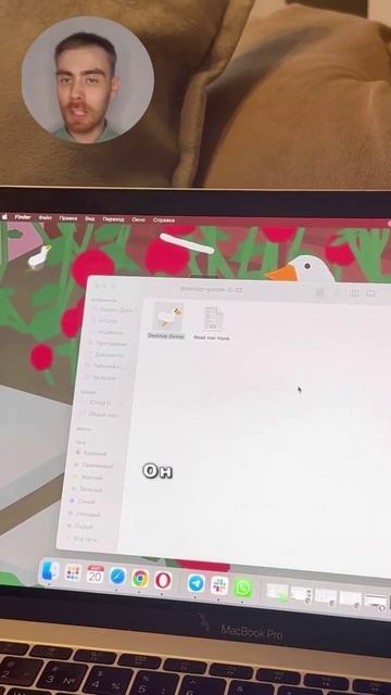 Интернет разрывает интернет гусь - Desktop Goose #shorts смотреть онлайн