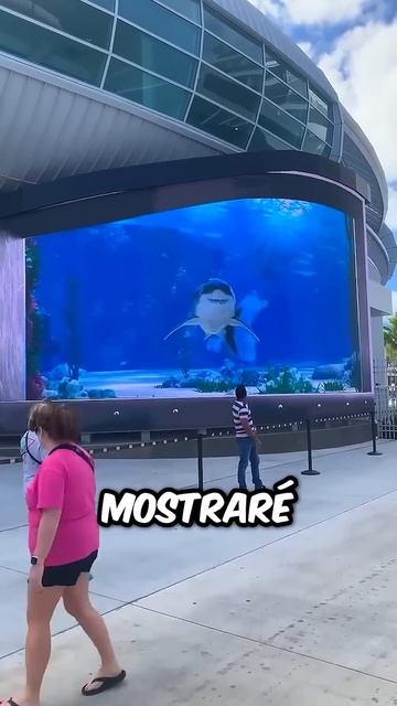 ¡El tiburón más grande del mundo! 😨 смотреть онлайн