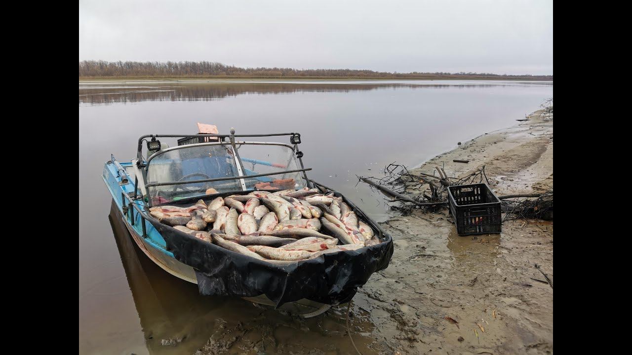 ★Рыбалка Сплавной Сетью ★Сплав по реке Сетью! смотреть онлайн