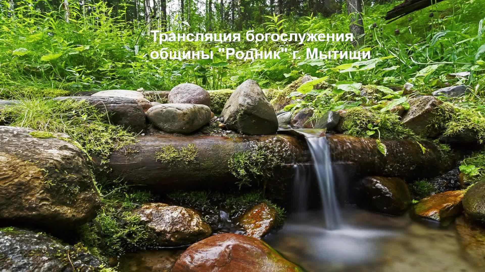 Трансляция общины 
