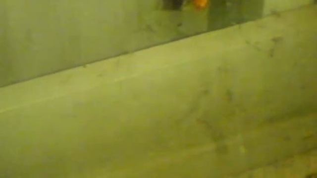 black widow vs brown beetle смотреть онлайн