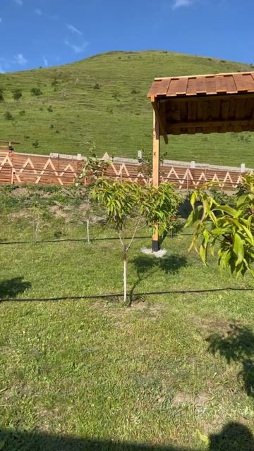 chill village fiagdon смотреть онлайн
