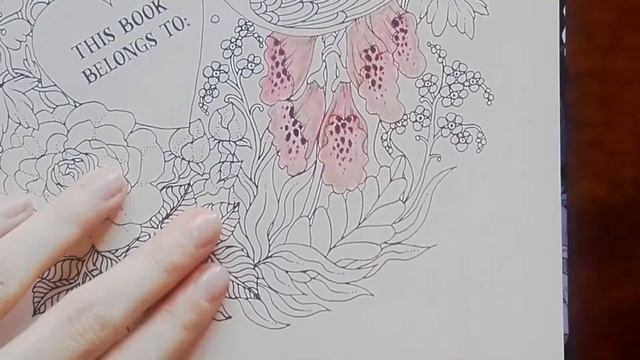 Speed Coloring : Nightfall Partie 1 смотреть онлайн