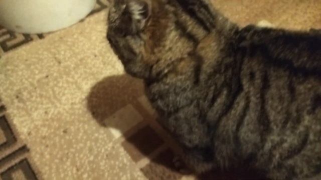 А не спеть ли нам песню, о .... смотреть онлайн