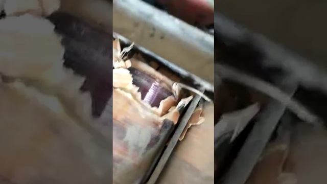 Ex Travo Bekas (05-02-2023) смотреть онлайн