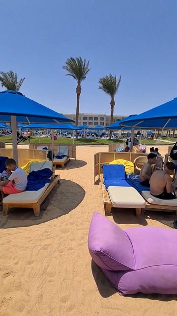 Пляж Albatros Beach Resort 2024 смотреть онлайн