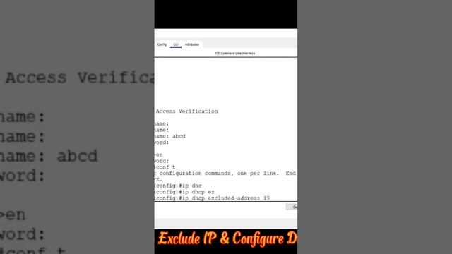 Exclude IP & Configure DHCP смотреть онлайн