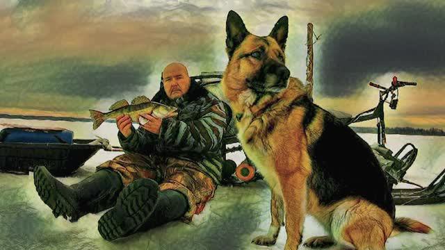 Как поймать судака зимой на поставушку