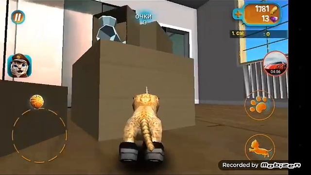 Бешеные котики смотреть онлайн