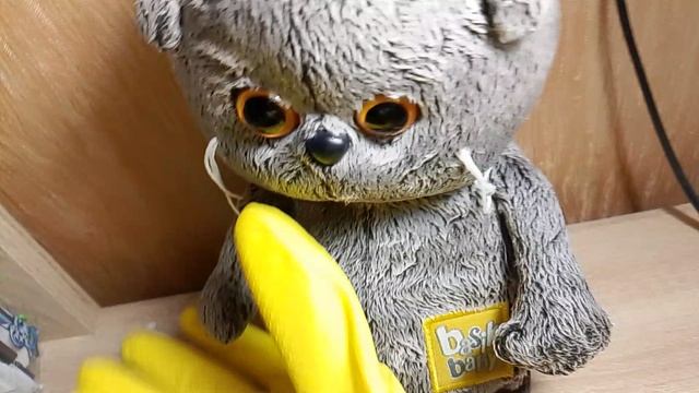 1000008677.mp4 смотреть онлайн