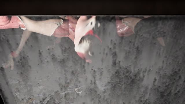 Paranormal HK - РАЗБИТАЯ ГИМНАСТКА #3