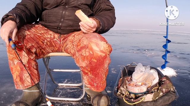 Домой без рыбы смотреть онлайн