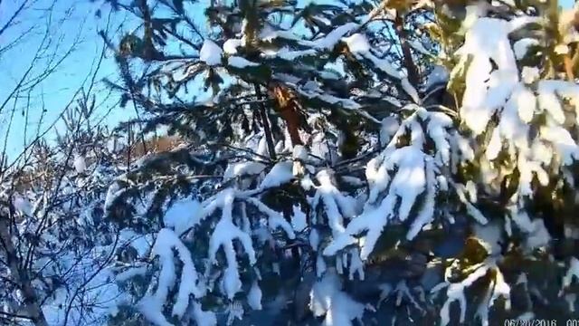 охота на зайца беляка троплением.рождественский сюрприз смотреть онлайн