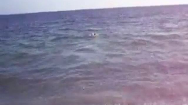 Я Морж.MOV смотреть онлайн