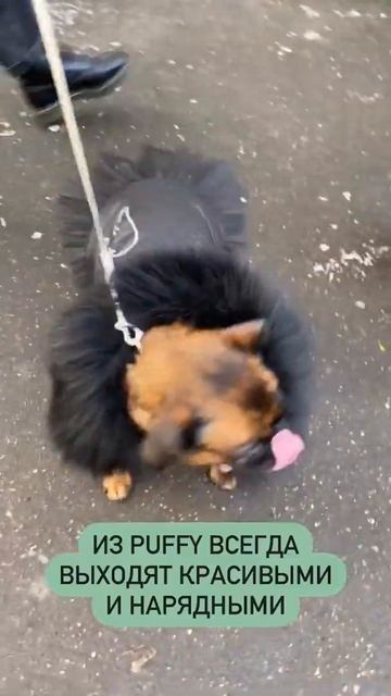 Утепленный дождевик Puffy Angel с юбкой смотреть онлайн