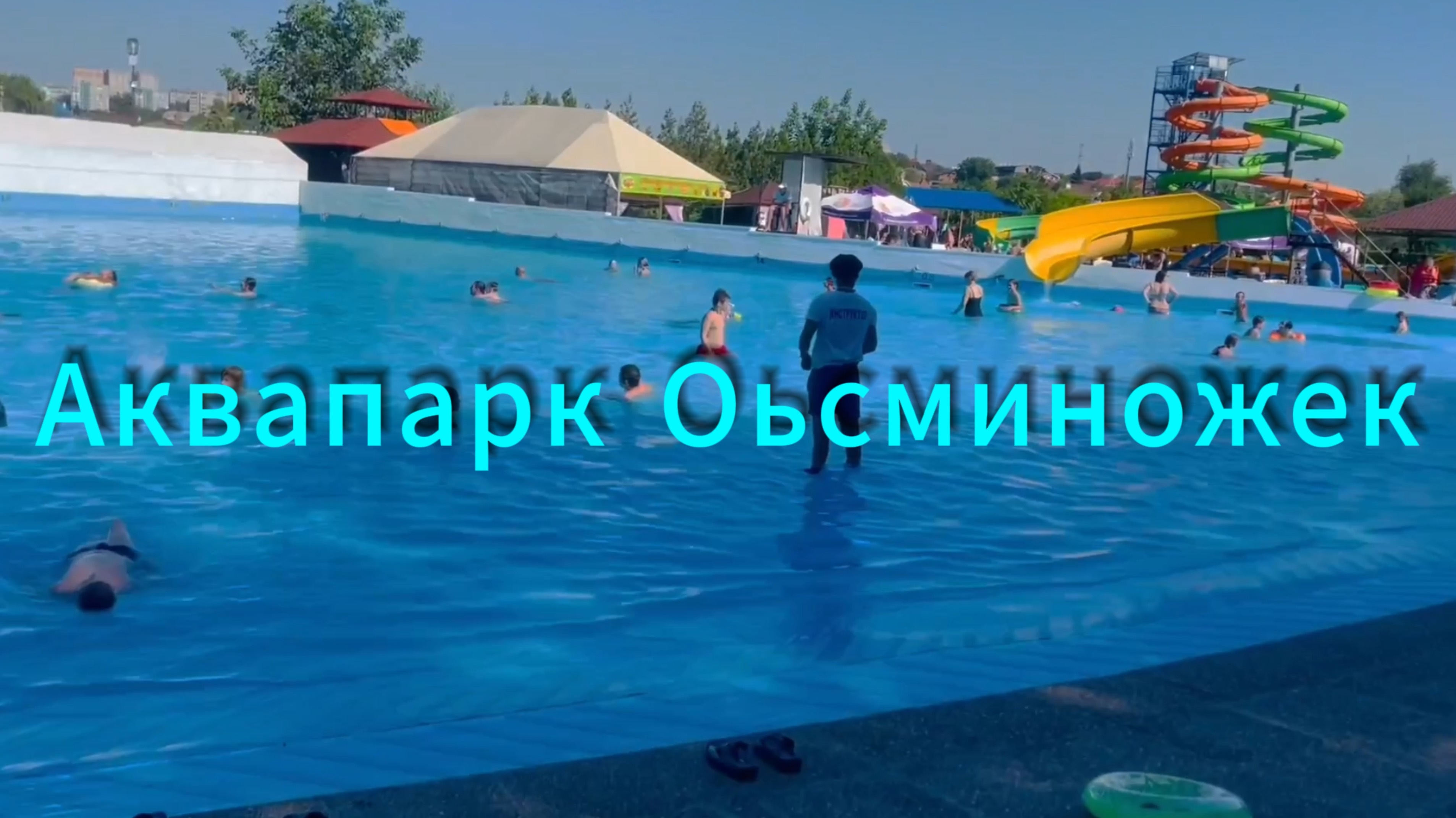 Аквапарк осьминожек 2023