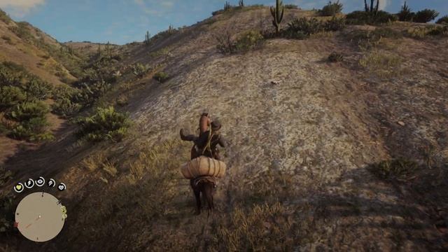 Полосатый ядозуб, с выходом за карту #rdr2 #arthurmorgan