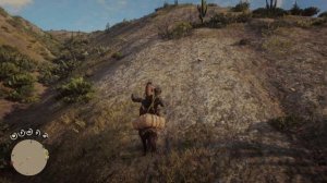 Полосатый ядозуб, с выходом за карту #rdr2 #arthurmorgan