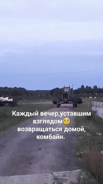 #ферма #viral #subscribe #cute #сельскоехозяйство #top #cat #combat #жизнь #мир #комбайн #johndeere смотреть онлайн