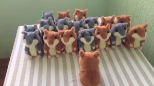 Говорящие хомяки повторюшки Побег!