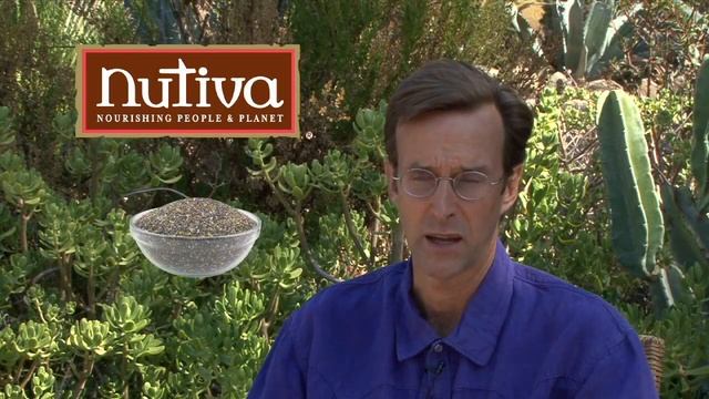 Organic Chia Seed Delicious Healthy Omega-3 Superfood смотреть онлайн