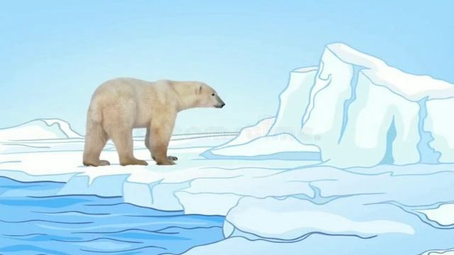 Тварини холодних країн смотреть онлайн