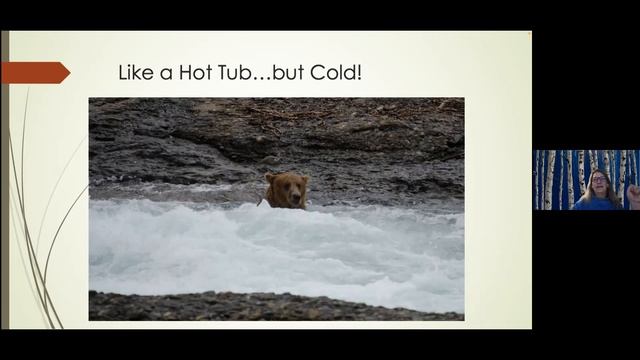 The Bears Come First смотреть онлайн