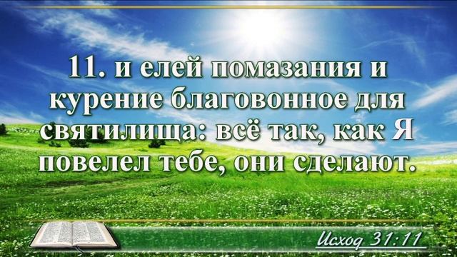 ВидеоБиблия Книга Исход без музыки глава 31 Соколов смотреть онлайн