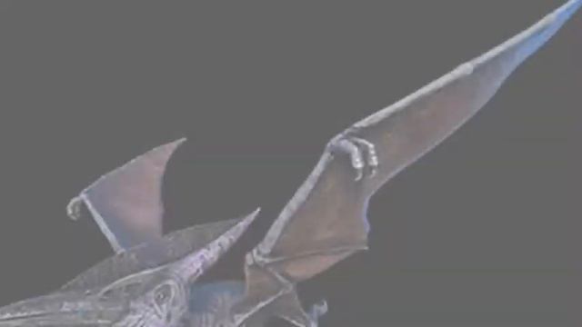 Tribute to Pteranodon смотреть онлайн