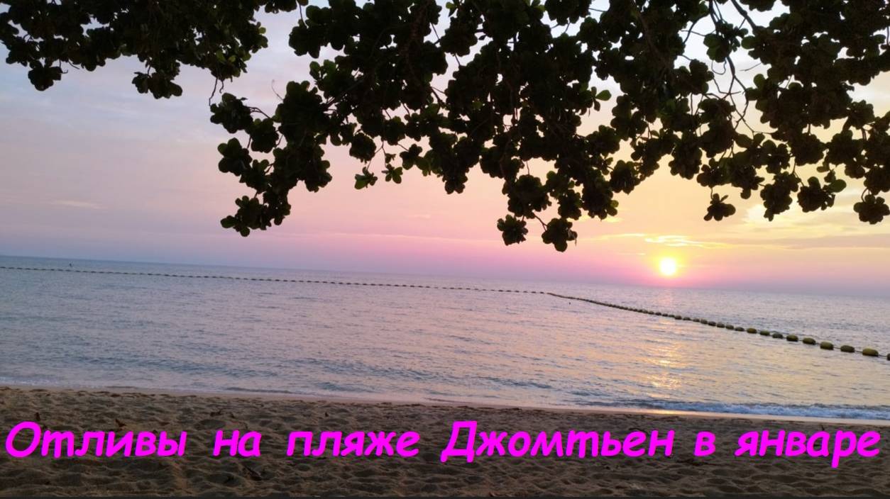 Пляж Джомтьен. Отливы * Приливы в январе 2025г. / Таиланд Паттайя