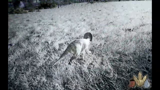 Within the life of an Avaceratops смотреть онлайн