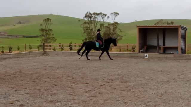 Freyas workout day 2 смотреть онлайн