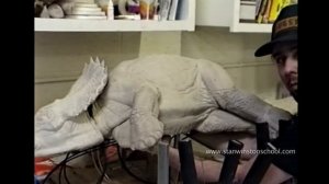 10 ДИНОЗАВРОВ , СНЯТЫХ НА КАМЕРУ !