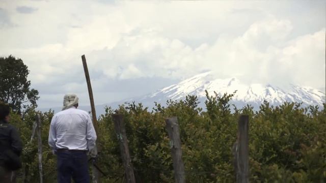 Productos de Arándanos y Frambuesas, Loncoche смотреть онлайн