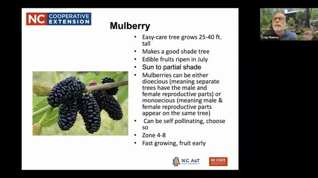 Fruit Trees for Home Gardens смотреть онлайн
