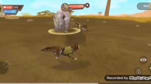 Я играю в симулятор волка