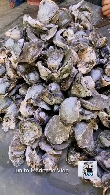 #satisfying ASMR Yummy Seafood #talaba #seafood #shorts #yummyfood смотреть онлайн
