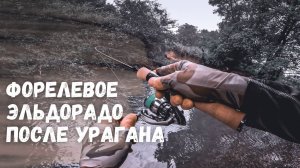 ФОРЕЛЕВОЕ ЭЛЬДОРАДО! Нашел микро-речку которая кишит форелью. Рыбалка на ультралайт.