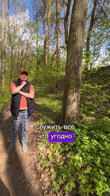 Может ли мох служить компасом в лесу ? 1 часть #shorst смотреть онлайн