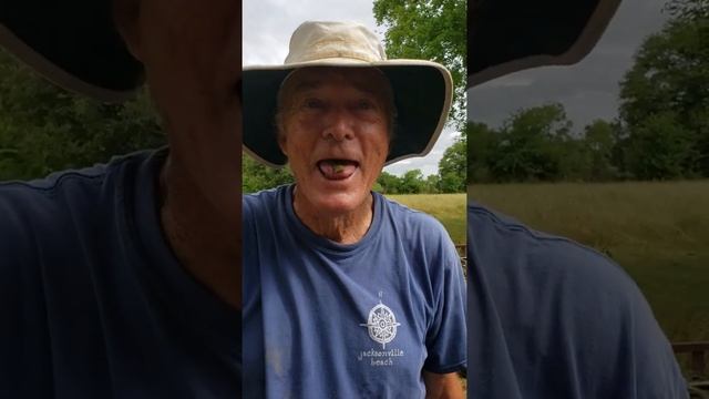 Lessons from the Texas "Tickle Tongue" Tree смотреть онлайн