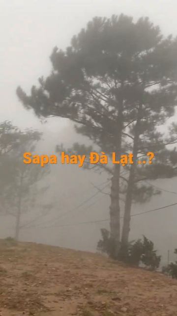 Sapa hay Đà Lạt ..? смотреть онлайн