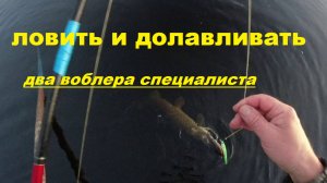 Ловить и долавливать. Два воблера спеца.