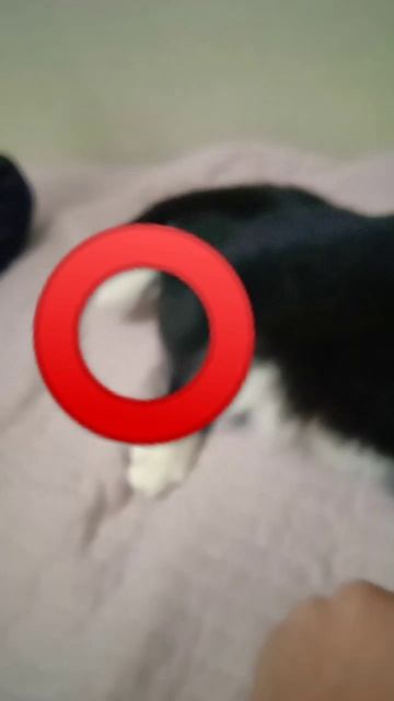 Я не шучу я правда говорю 😖🥺 сделать проду смотреть онлайн