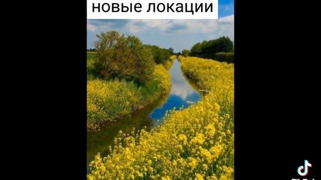 шок слили летнюю обнову в Real Life